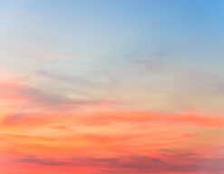 Cielo
